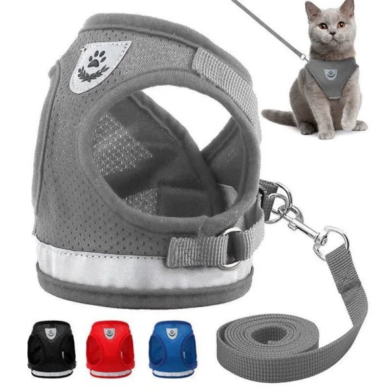 Pettorina per Cani e Gatti in Mesh Traspirante con Guinzaglio – Leggera e Comoda